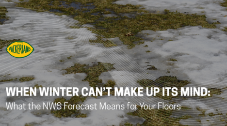 Heading image shows blog title, "When Winter Can't Make Up It's Mind: What the NWS Forecast Means for Your Floors". Under the text is a grassy area peaking out from under slushy snow